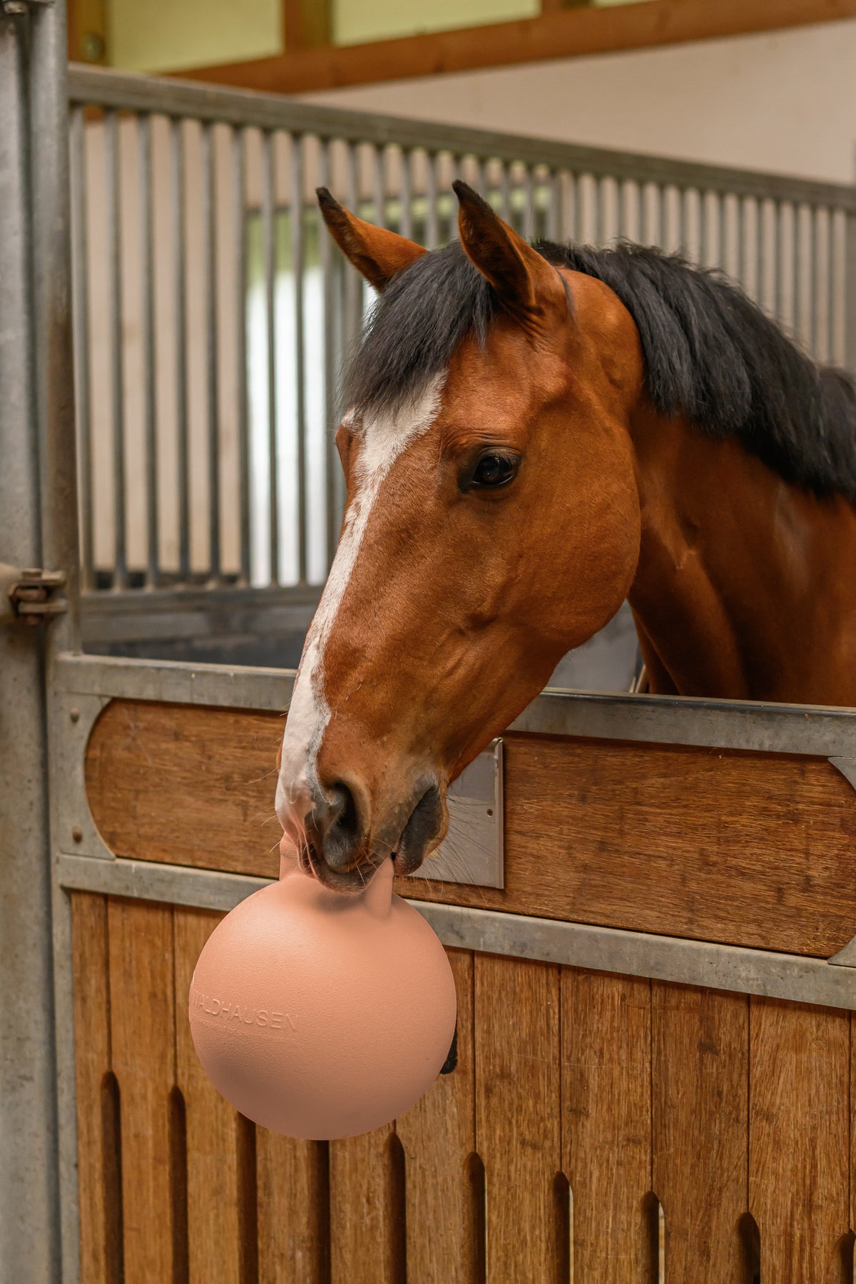 GIOCO PER CAVALLI FUN BALL WALDHAUSEN