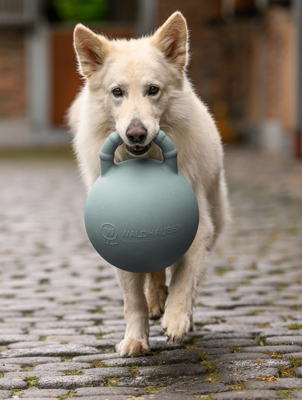 GIOCO PER CAVALLI FUN BALL WALDHAUSEN