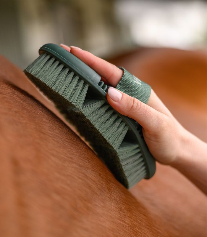 Brusca modello Flex con morbide setole sintetiche WALDHAUSEN
