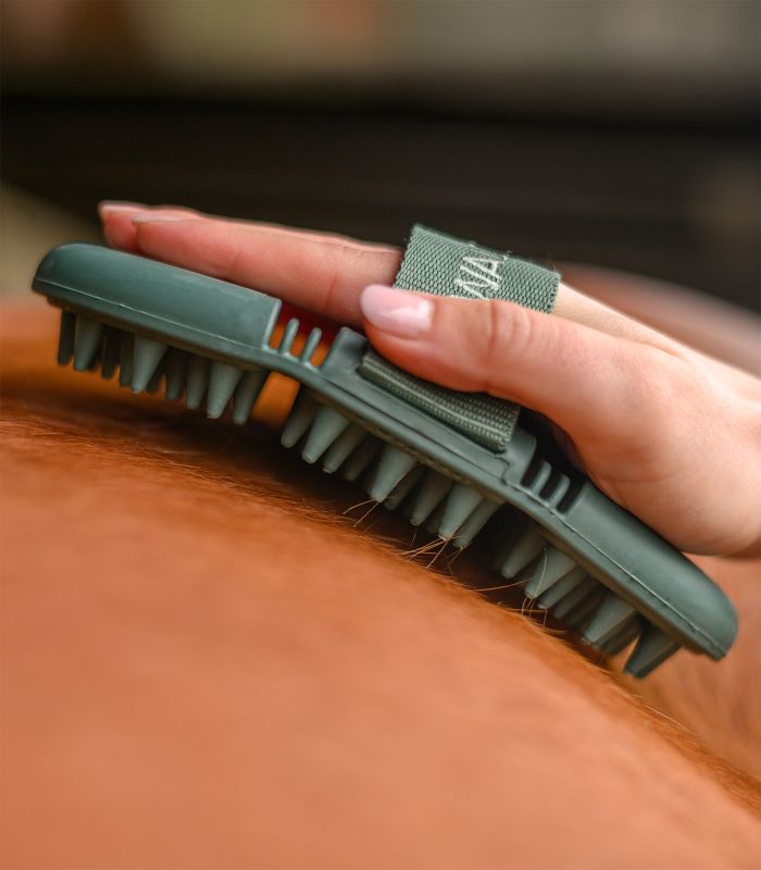 Striglia massaggiante modello Flex WALDHAUSEN