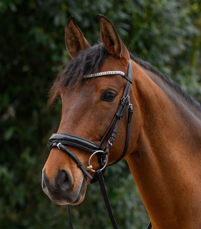 FRONTALINO MODELLO STAR GLITTER WALDHAUSEN