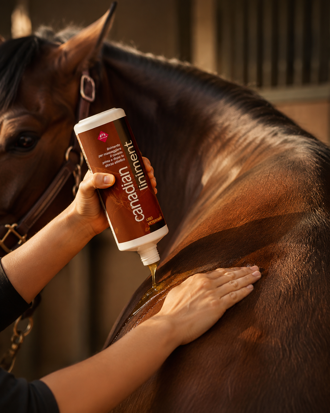 LOZIONE CAVALLI CANADIAN LINIMENT FM ITALIA