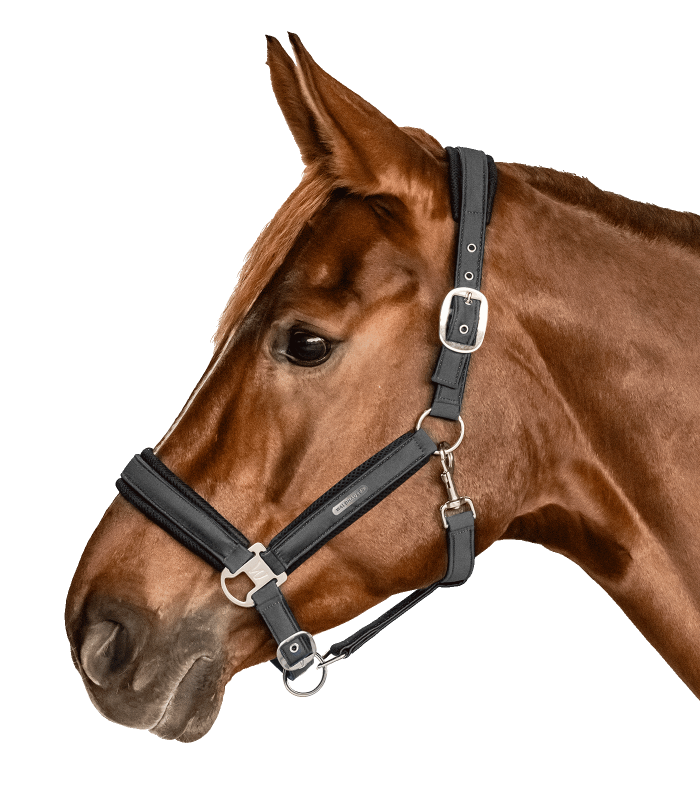 Capezza modello Breath WALDHAUSEN