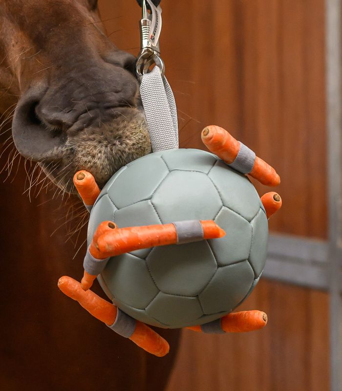 GIOCO PER CAVALLI PALLA PER CAROTE WALDHAUSEN