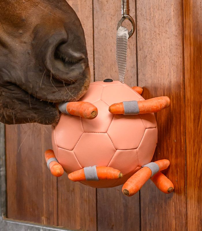 GIOCO PER CAVALLI PALLA PER CAROTE WALDHAUSEN