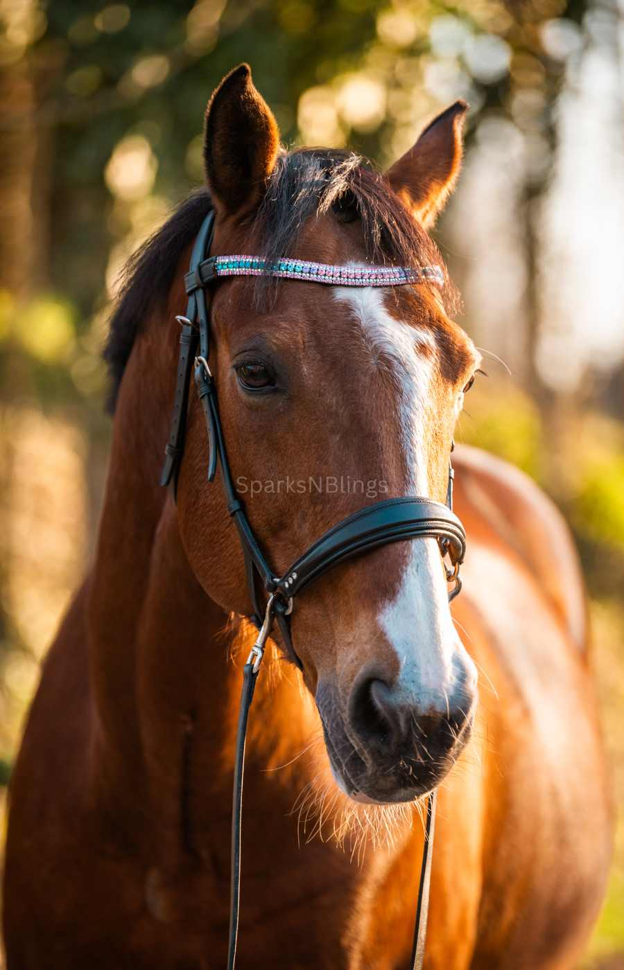 FRONTALINO CON CRISTALLI SPARKS N BLINGS - TheOne U Shape Unicorn Sparkle