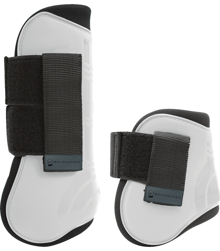 SET COMPLETO STINCHIERE E PARANOCCHE PRO WALDHAUSEN