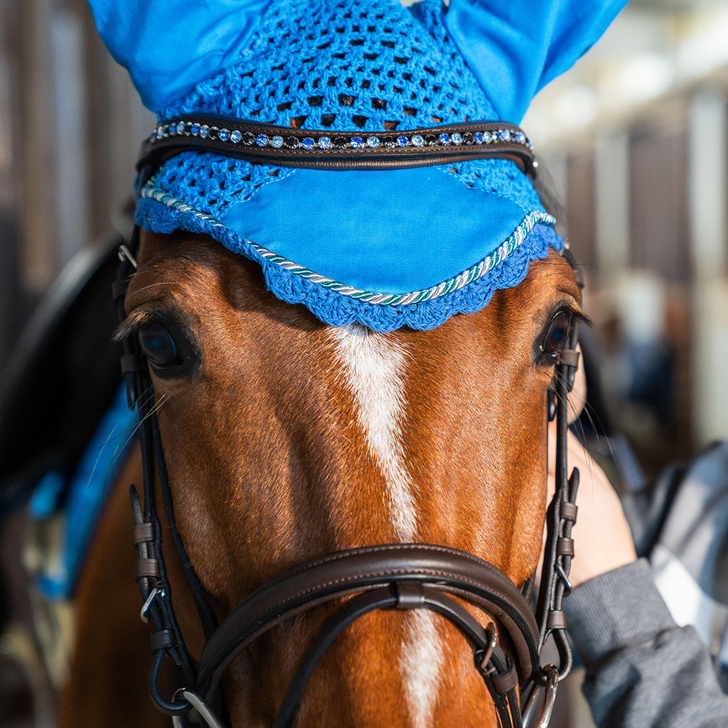 Briglia con cristalli WINNER CRYSTAL Blu/Marrone