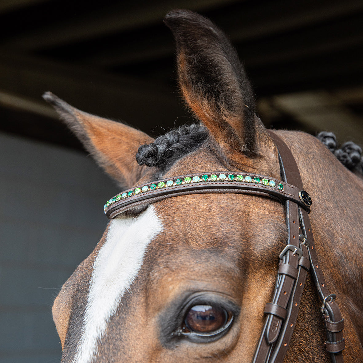 Briglia con cristalli WINNER CRYSTAL Verde/Marrone