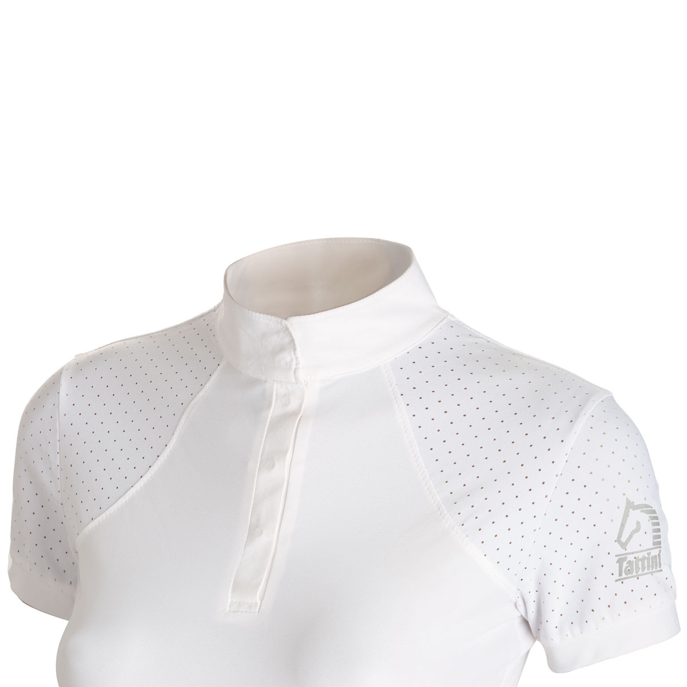 MAGLIA MANICHE CORTE TATTINI CON DETTAGLI LUREX