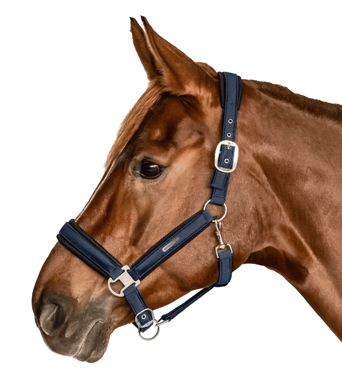 Capezza modello Breath WALDHAUSEN