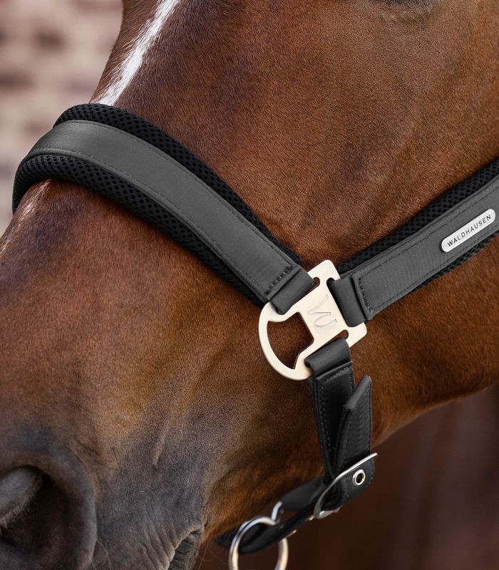 Capezza modello Breath WALDHAUSEN