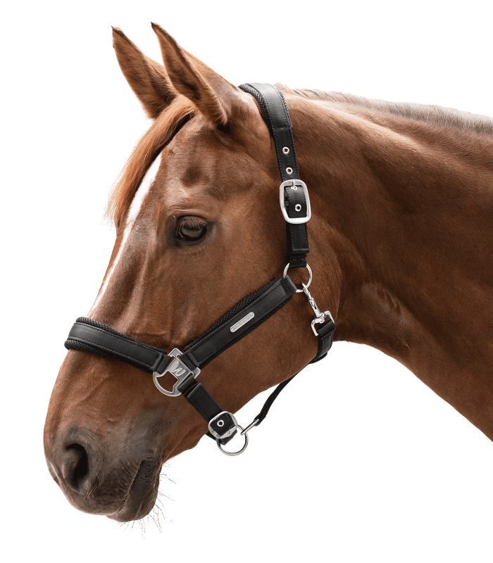 Capezza modello Breath WALDHAUSEN