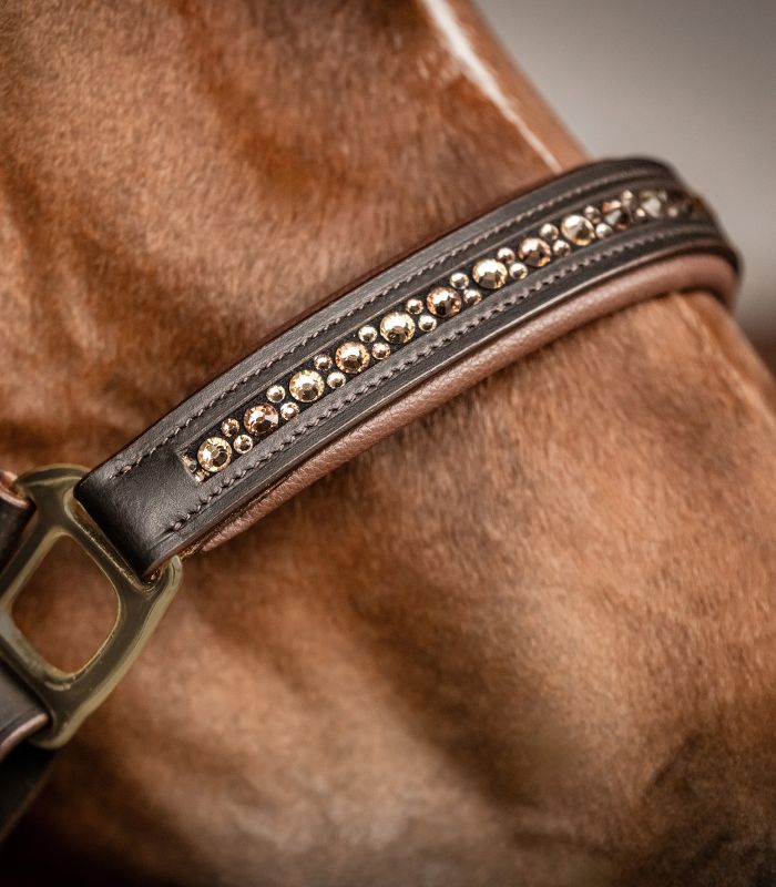 Capezza in pelle modello X-Line Crystal WALDHAUSEN