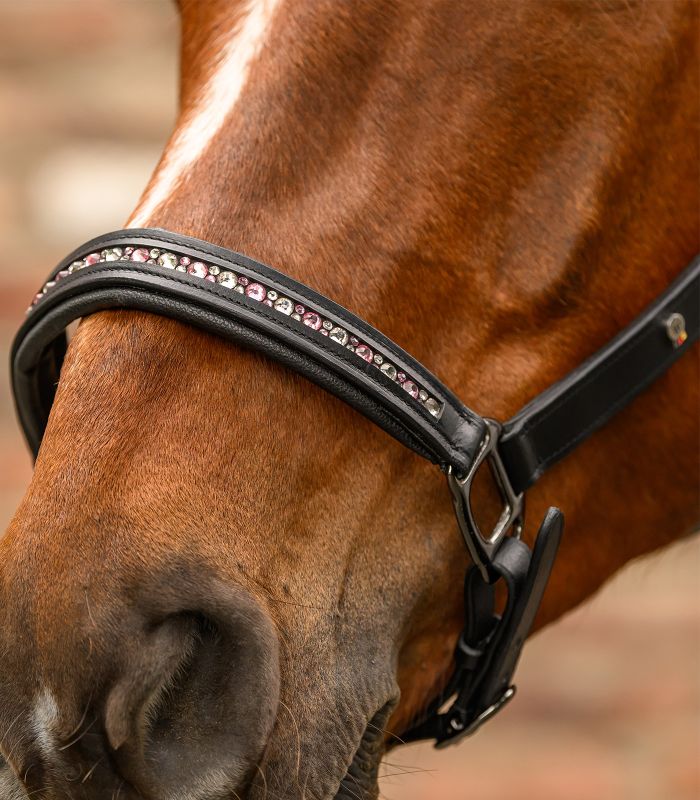 Capezza in pelle modello X-Line Crystal WALDHAUSEN