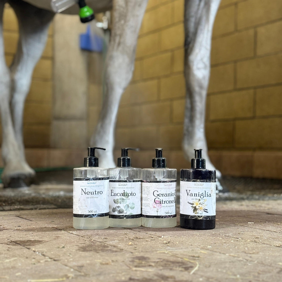 SHAMPOO PER MANTI CHIARI E GRIGI alla VANIGLIA ARCAFARM - flacone da 500 ml