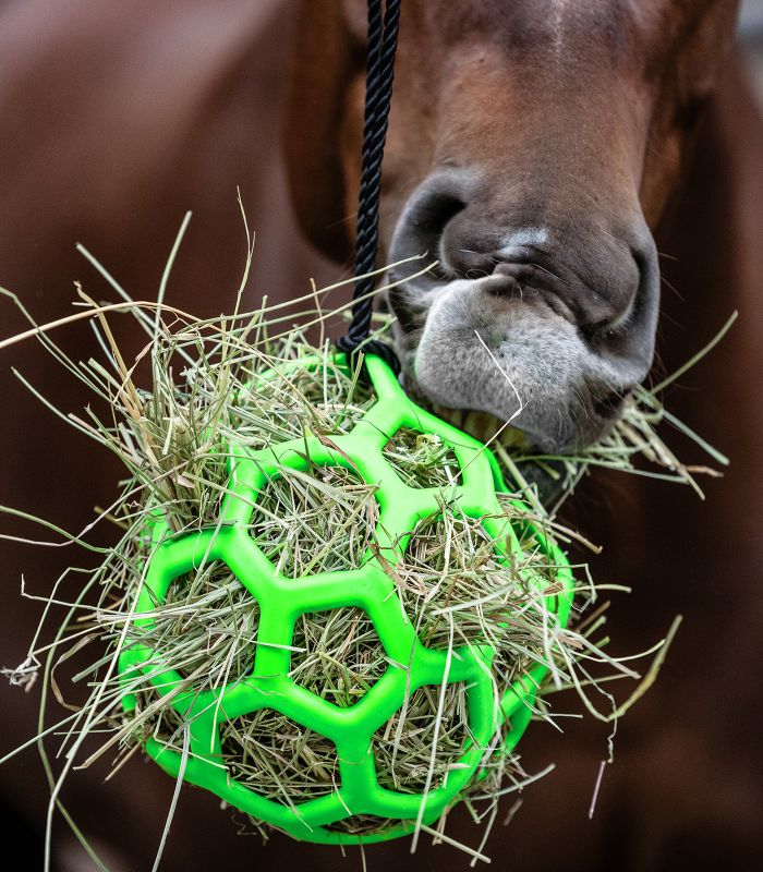 GIOCO PER CAVALLI PALLA PER FIENO WALDHAUSEN