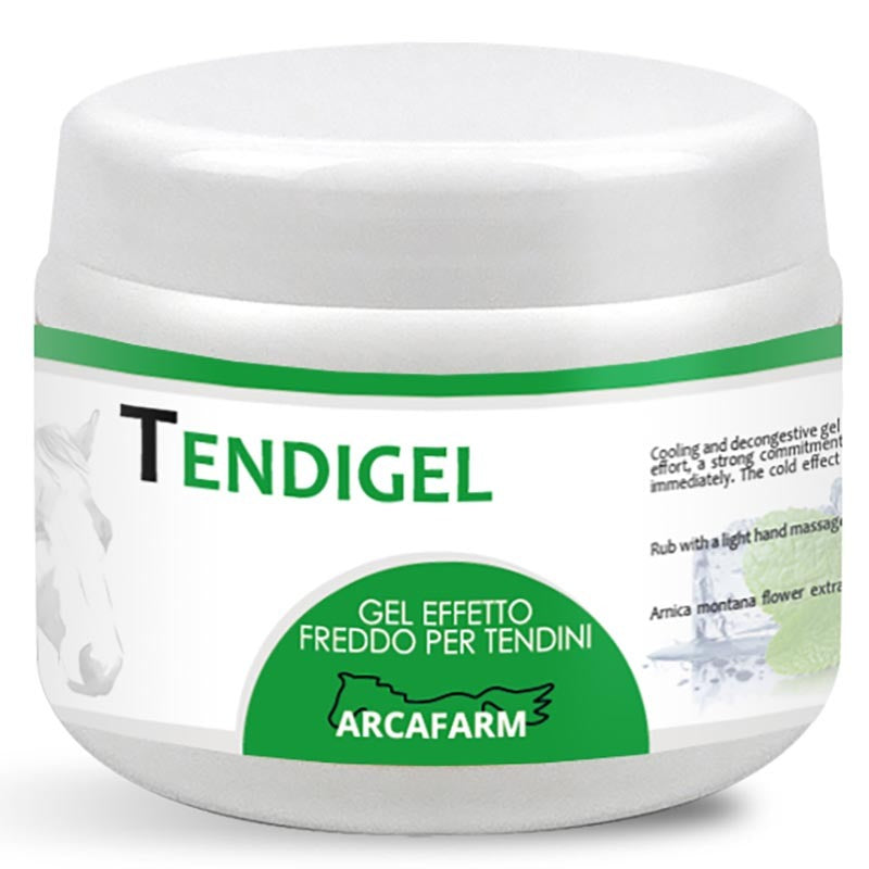 TENDIGEL effetto freddo e decongestionante ARCAFARM formato da 500 g